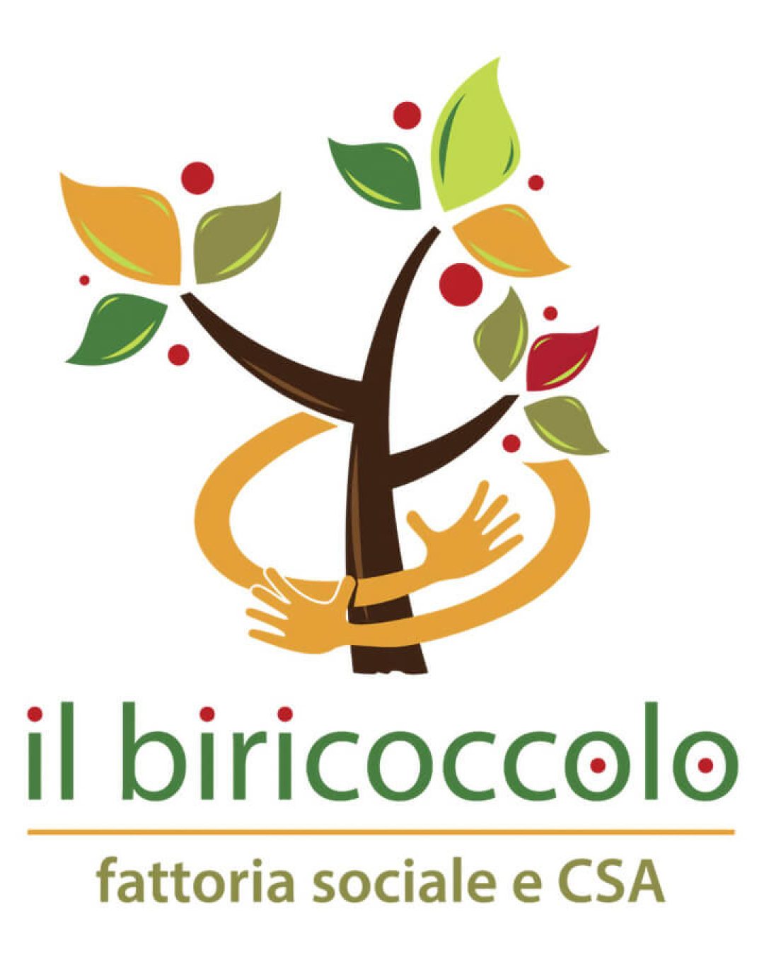 Leila collab x Il Biricoccolo
